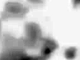 Wilde Ride! With Kylie Wylde